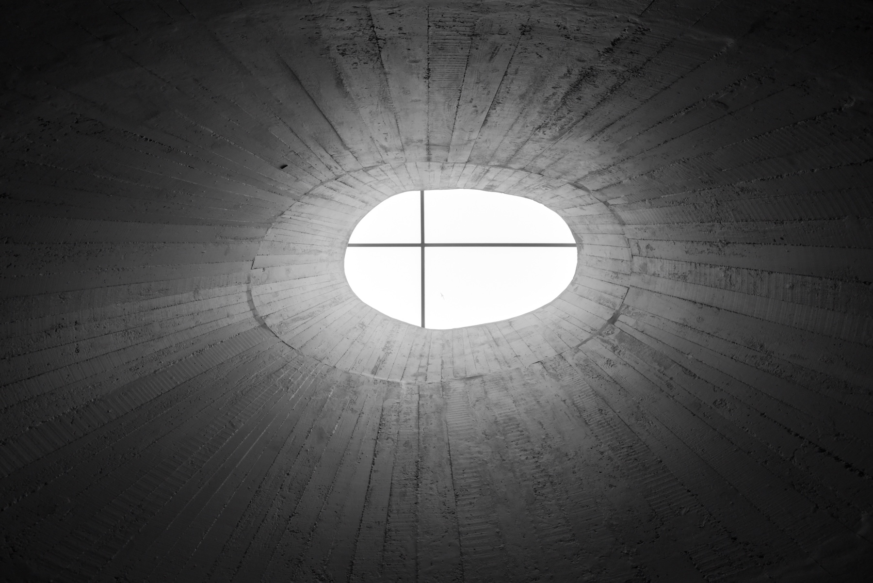 bacalhoeiros ceiling